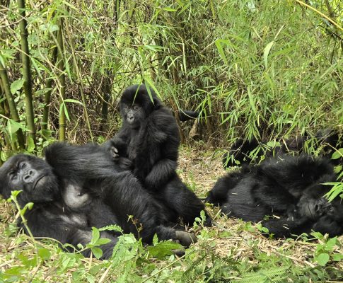 Arrival in Kigali, Rwanda