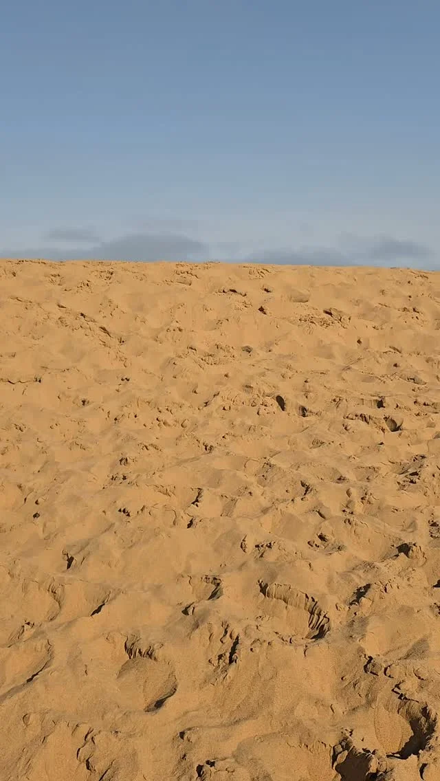 Sandwich Harbour in Namibia is completely surreal. Towering sand dunes dropping straight into the Atlantic Ocean. It was the best part of the trip by far.
.
.
.
#sandwichharbour #namibia #namibiatravel #sanddunes #dunes #ocean #desert #desertmeetsocean #atlanticocean #dramaticlandscape