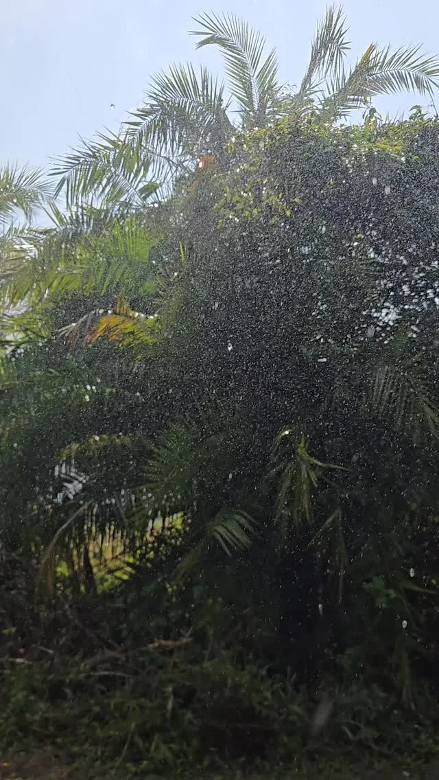 Waterfall showers at Victoria Falls and my adorable tour-mates
.
.
.
#victoriafalls #waterfall #rainforest #zimbabwe #naturalwonders #tourism